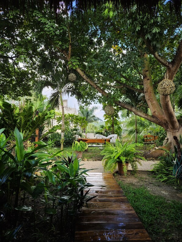 Un sendero de madera que atraviesa un exuberante jardín con diversas plantas y un banco.