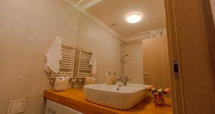 Luxury Apartment with private Garden Terrace near National Arena and Mega Mall