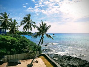 Property grounds - Banyan Tree 304 - Oceanfront Kona Condo w/ Views, Pool & Lanai (Kailua Kona)