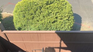Une terrasse avec une table ronde, quatre chaises et un pot de fleurs.
