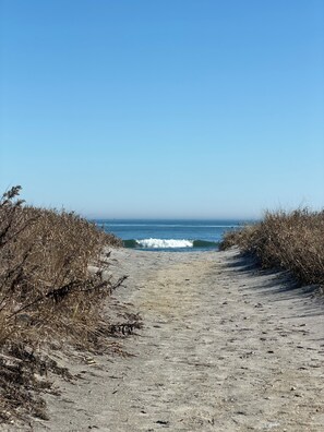 Beach - Cozy 1-bedroom condo steps to the pristine Atlantic Ocean (Brigantine)