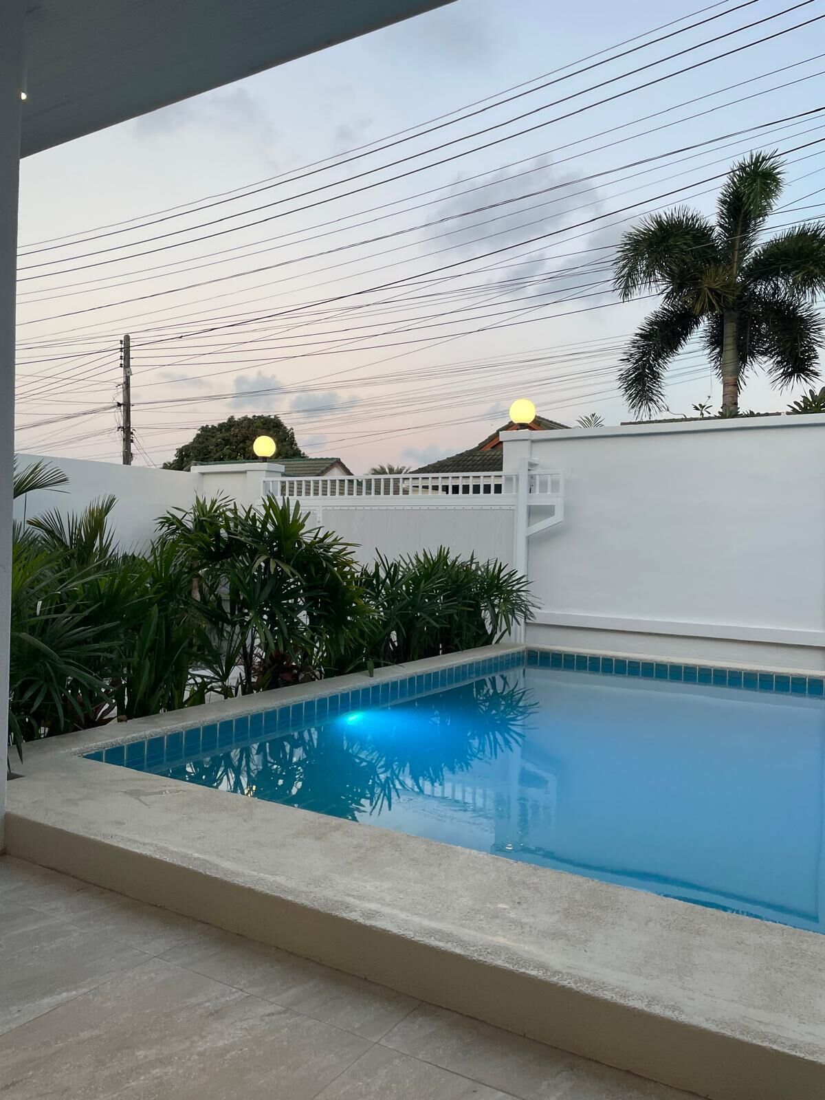 A swimming pool with a white wall and tiled edge, surrounded by greenery and a palm tree.