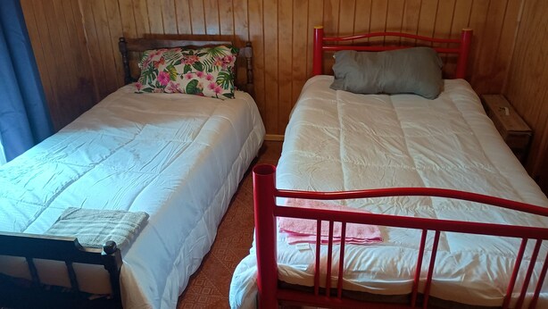 Two single beds with wooden headboards, a red metal frame, and a patterned pillow on one bed.