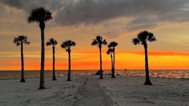 Ein Strand mit einem Weg zum Meer, Palmen und einem Sonnenuntergang.