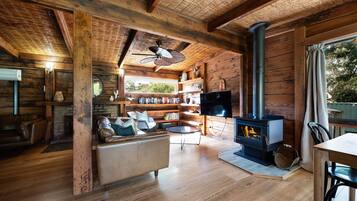 Smart TV, fireplace, books, stereo