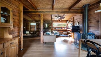 Smart TV, fireplace, books, stereo