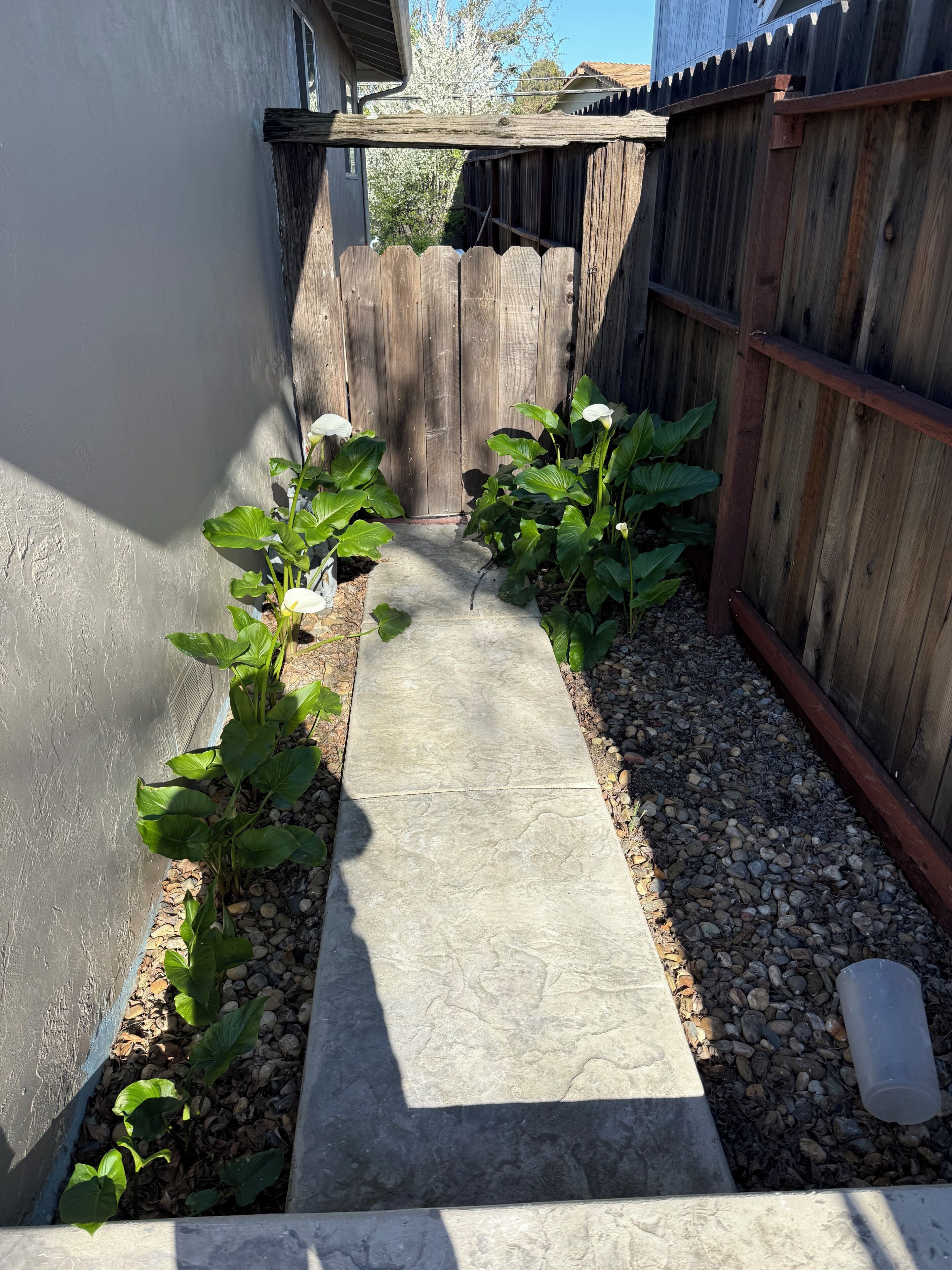 Enceinte de l’hébergement