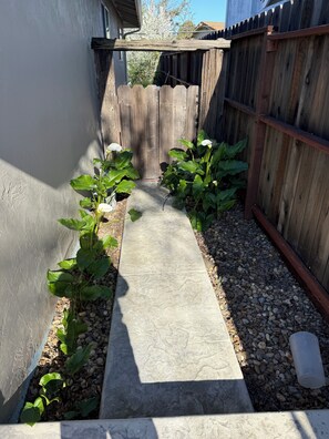 Overnattingsstedets uteområder