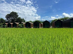 บริเวณที่พัก