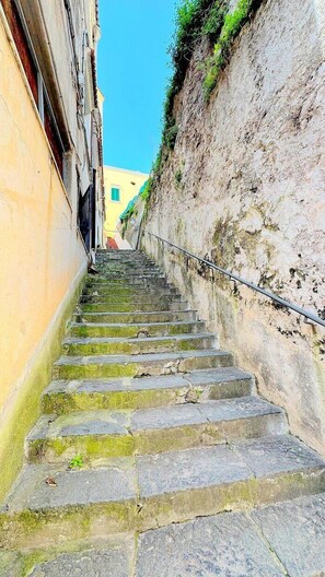 Property grounds - Casa Amaris: Is a welcoming independent house in a quiet position, situated at a short distance from the Cathedral of Amalfi, with Free WI-FI. (Amalfi)