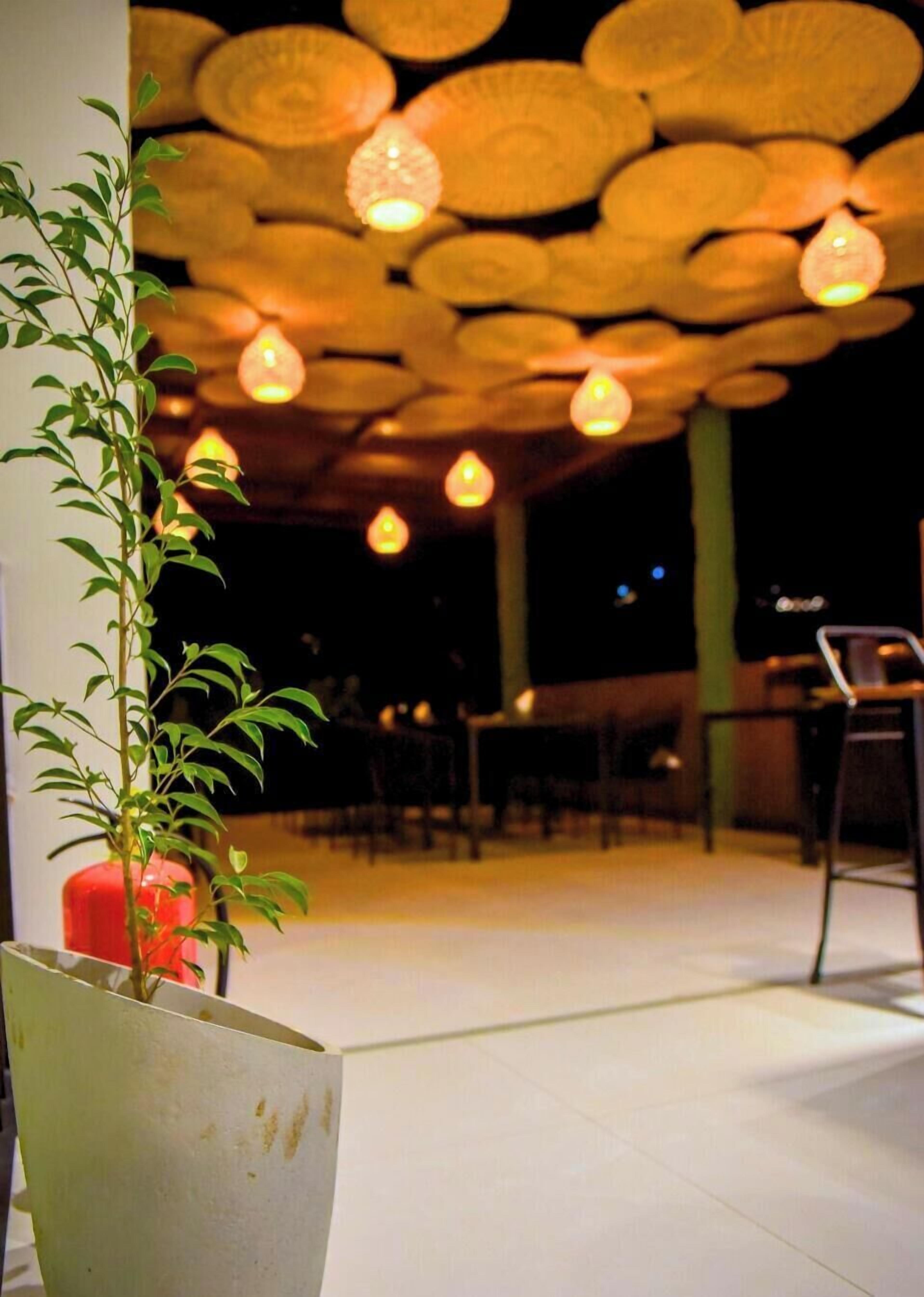 Un restaurant décoré de guirlandes lumineuses et agrémenté de plantes en pot.