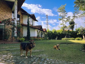 A house with a brick exterior, a tiled roof, and a well-maintained garden with two dogs.