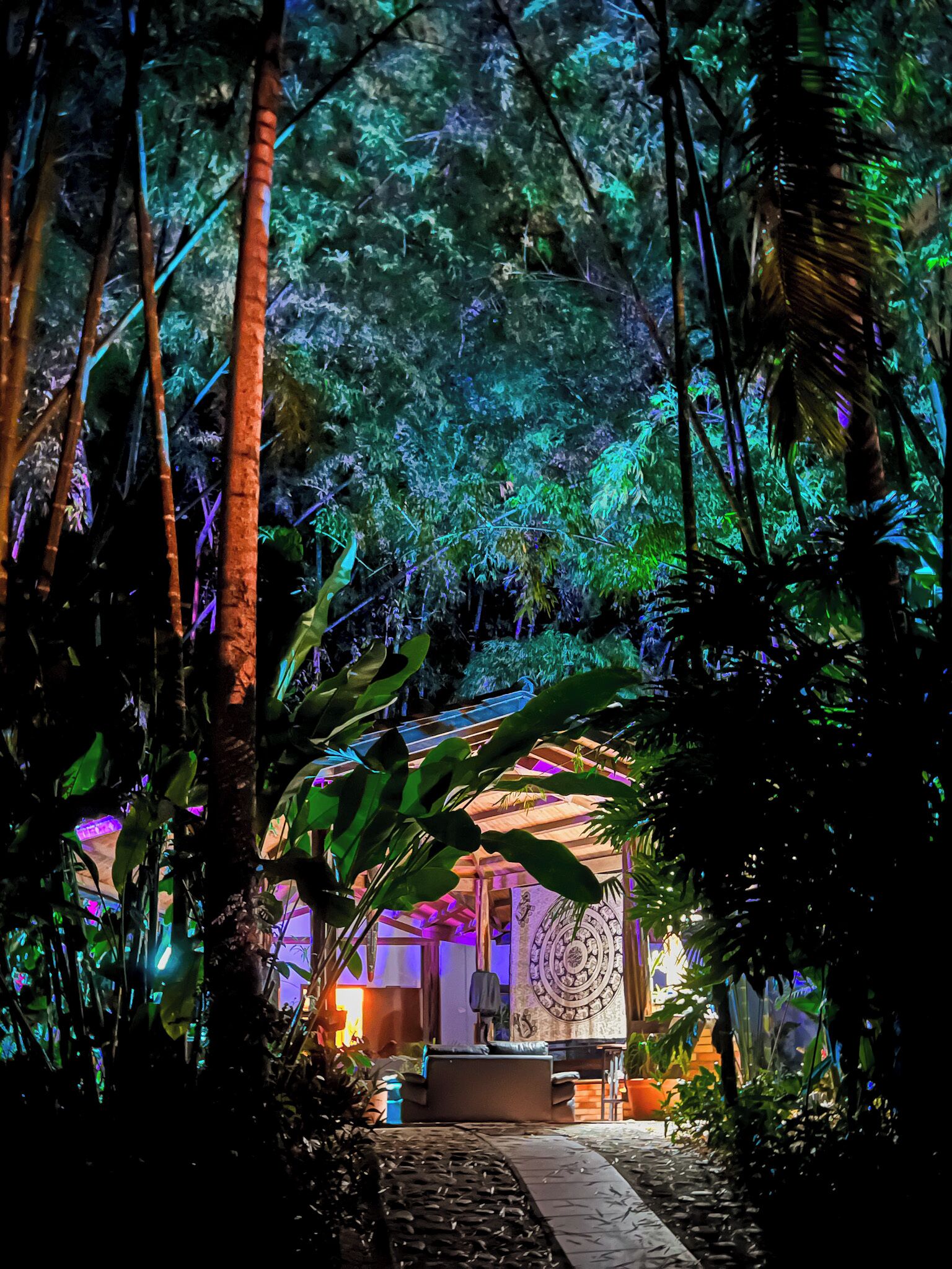 A tropical garden with a stone pathway leading to a seating area.