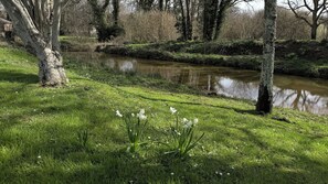 Property grounds - The Dairy, a peaceful rural setting in the heart of the Island (Newport)