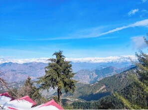 View from property - Premium Hotel M-S Resort Dalhousie  (Dalhousie)