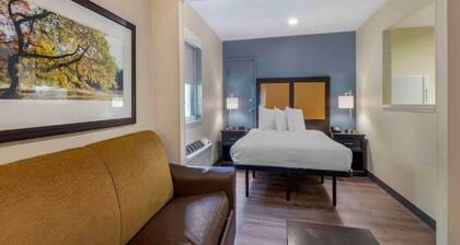 1 Queen Bed | Non-Smoking, Micfridge