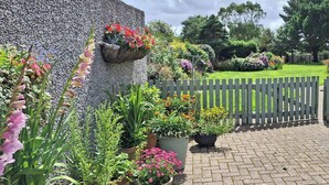 Ein Garten mit Kübelpflanzen und einer Steinmauer.