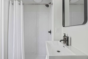 Hair dryer - Queen Standard Suite (Asheville)