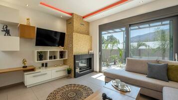 TV, fireplace