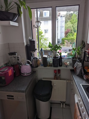 Private kitchen - 1 room apartment near Berlin including garage/bicycle. Single use. (Mühlenbecker Land)
