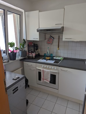 Private kitchen - 1 room apartment near Berlin including garage/bicycle. Single use. (Mühlenbecker Land)