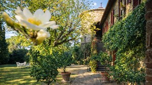 A garden pathway with potted plants, a stone building, and a white flower in the foreground. - Scappo in Umbria, Villa Maria (Panicale)