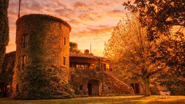 A stone tower covered in ivy, a rustic building with a sloped roof, and a tree in the foreground. - Scappo in Umbria, Villa Maria (Panicale)