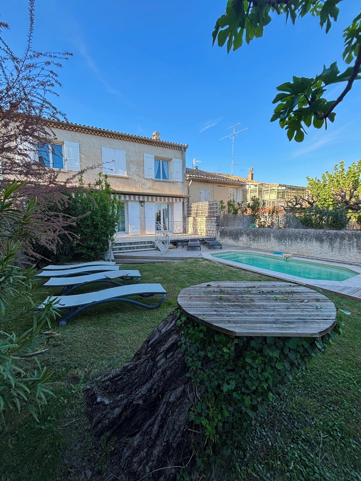 Imagen de perfil del propietario o de la propietaria