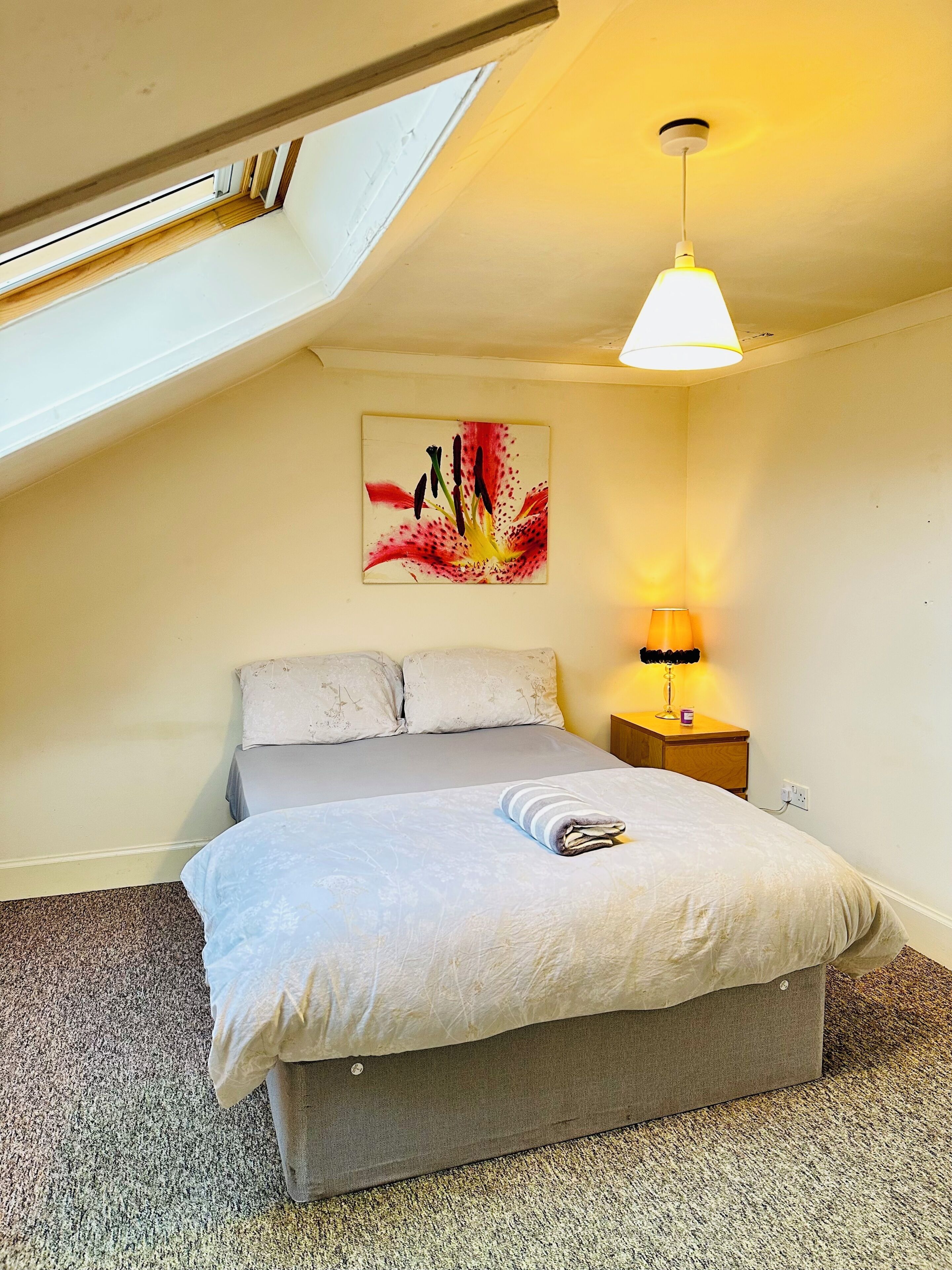 Un dormitorio con una cama, una mesita de noche, una lámpara, una luz en el techo y un cuadro.