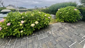 A paved driveway with lush green bushes and pink flowers. - Family vacation home facing the beach on the edge of the GR34 (Porspoder)