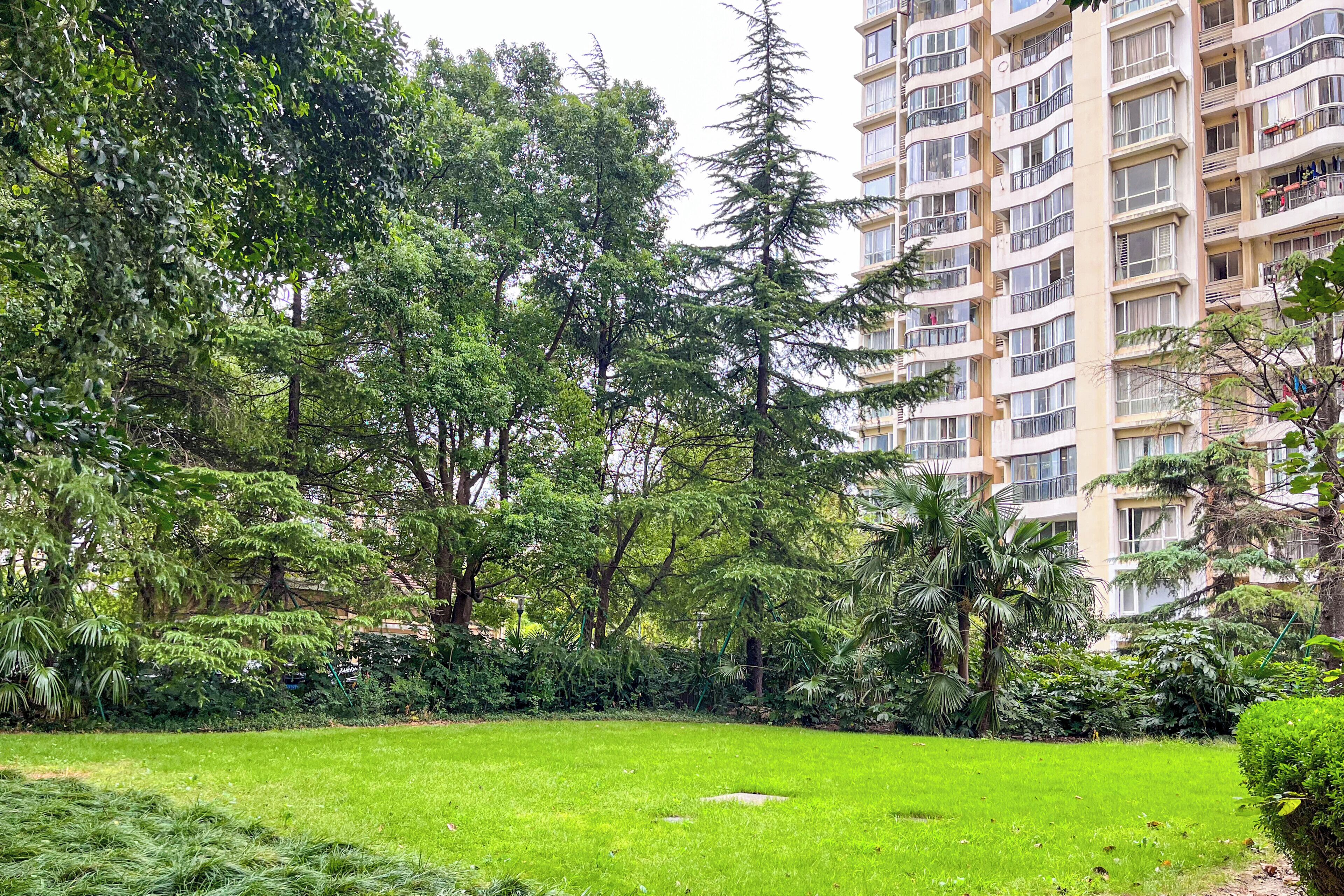 Een weelderig groen park met dichte bomen en een verzorgd gazon.