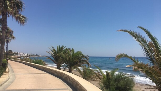 Ein Küstenweg mit Palmen, blauem Himmel und dem Meer.