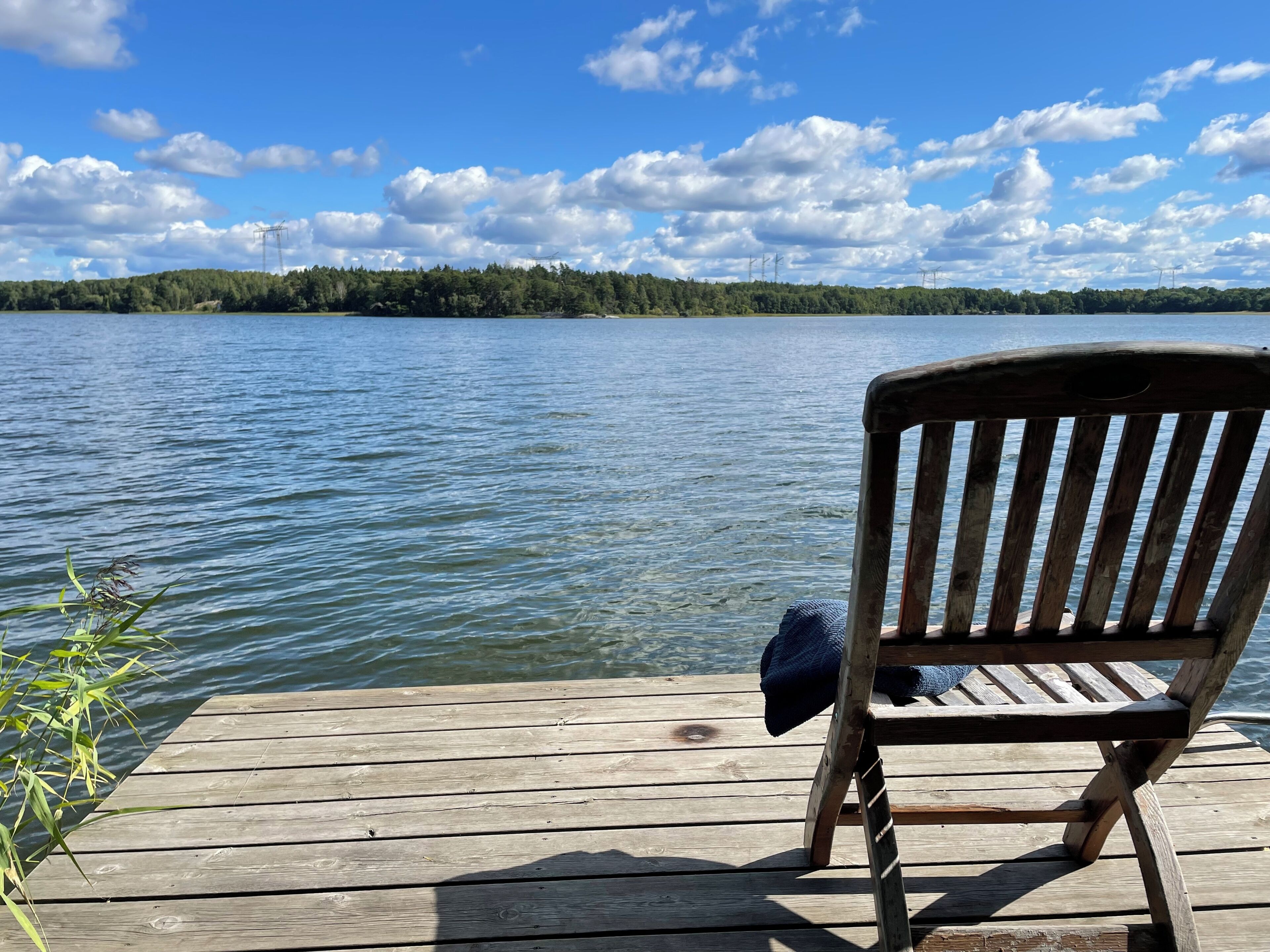 A wooden dock with a bench, overlooking a calm lake with a forested shoreline.
