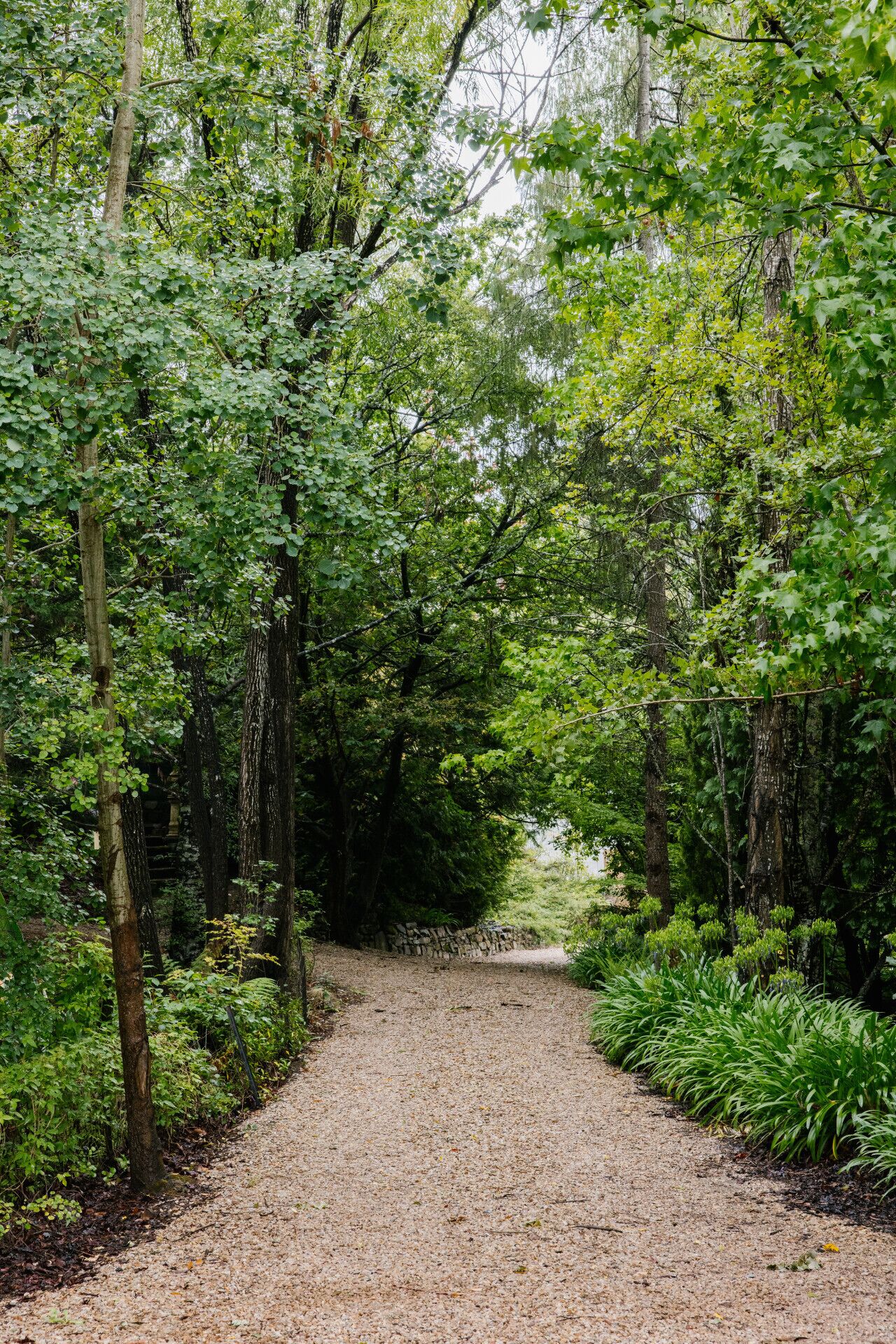 A gravel path flanked by dense green foliage, leading to a stone structure in the distance.