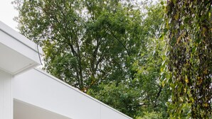 A modern outdoor pool area with a covered seating area, surrounded by lush greenery.