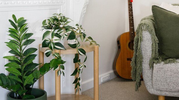 Une pièce avec une cheminée, une guitare, un fauteuil vert et deux plantes en pot.