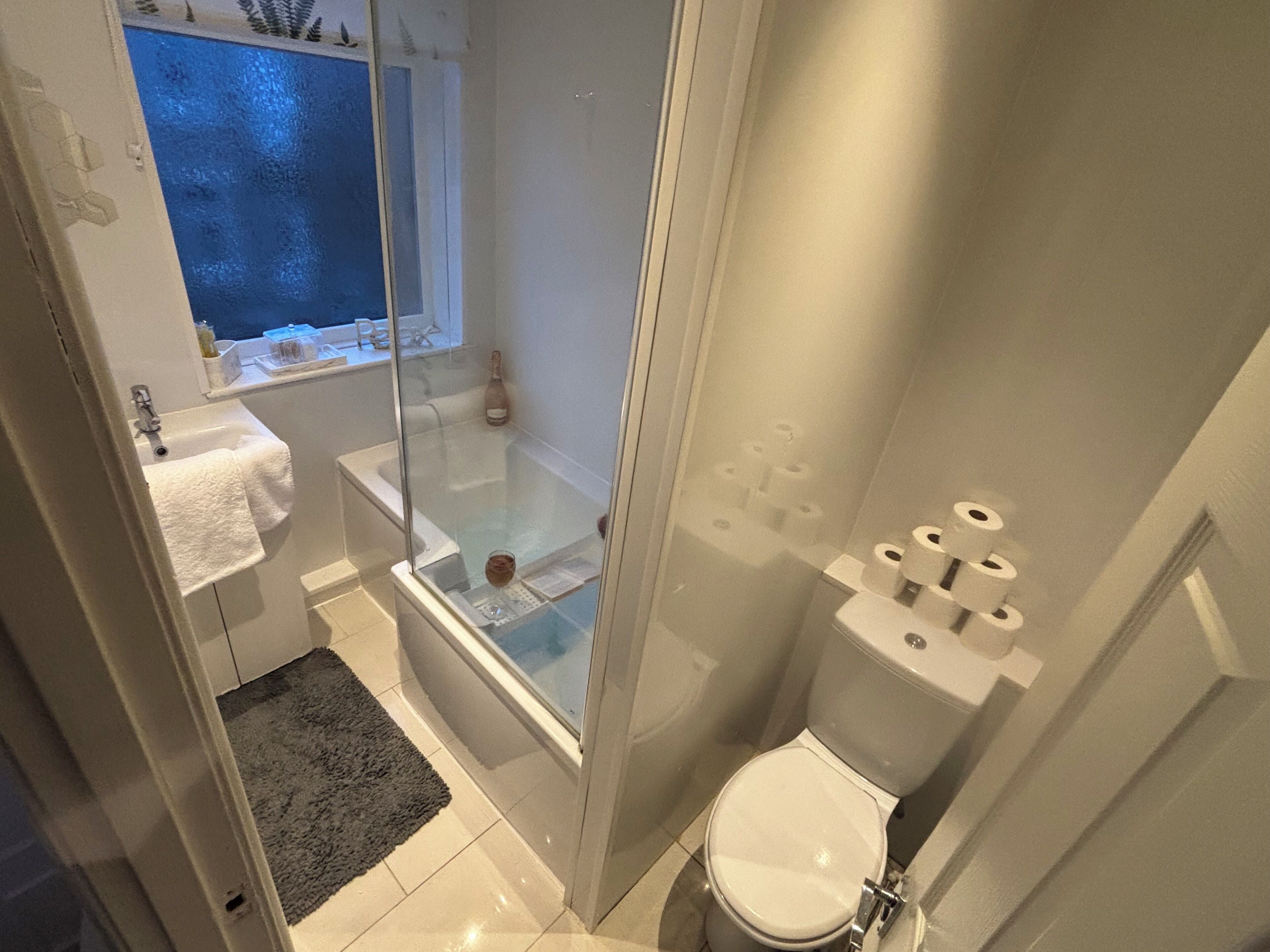 Hair dryer, towels, soap, toilet paper