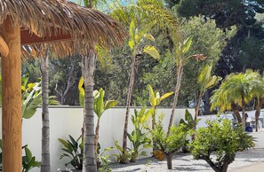 A tropical garden with a wooden pergola, various plants, and a white wall. - Villa with private pool for 8 people – CASA SUSAN (Moraira)