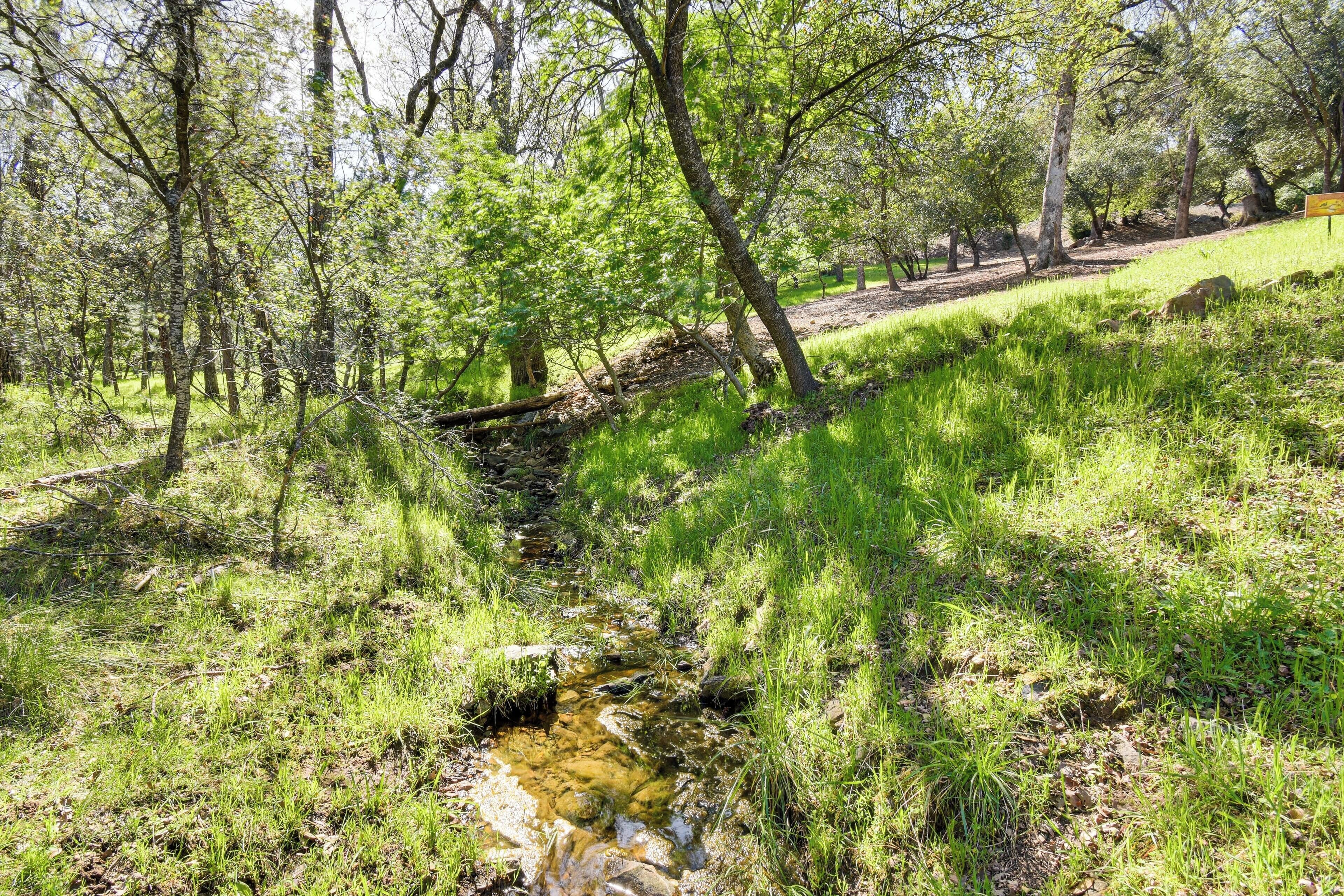A natural landscape with a stream, trees, and a grassy area.
