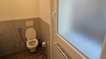Un baño con inodoro, ducha y ventana con vidrio esmerilado.