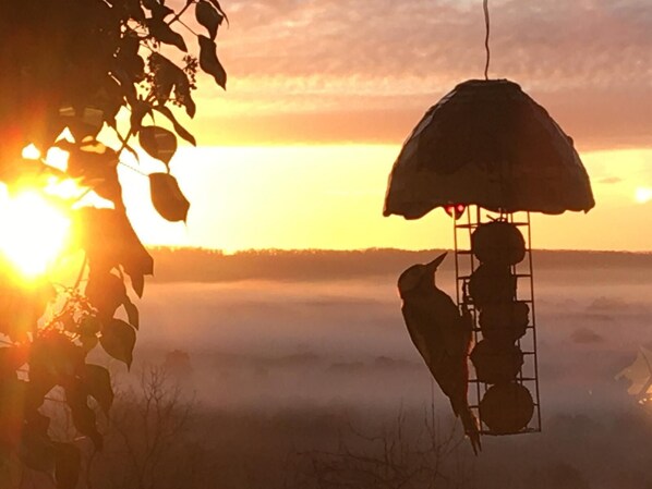 A bird feeder with a basket and a hanging feeder, surrounded by fog and a sunrise or sunset.