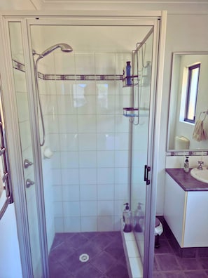 Hair dryer, towels, soap, shampoo