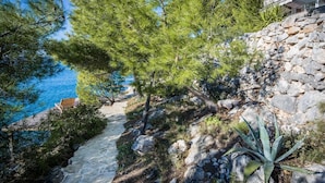 A coastal path with a stone wall and pine trees, leading to a beach. - Luxury Villa Azure Bay by the sea with heated pool and BBQ, perfect for families and pets (Bobovišća)