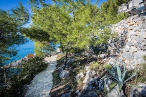 Un sentier côtier bordé d’un mur de pierres et de pins, qui mène à une plage.