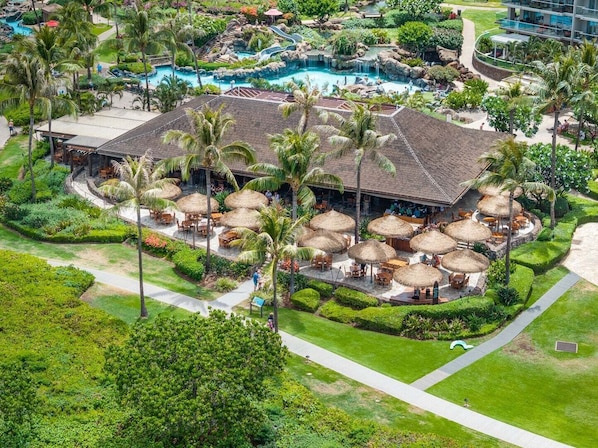 A heated pool - SUMMER SALE! Oceanfront Studio with Spectaular Views - Mahana 913 (Lahaina)
