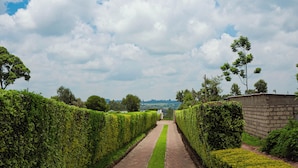 Ein gepflasterter Weg, gesäumt von ordentlich geschnittenen Hecken, der zu einer entfernten Aussicht führt.