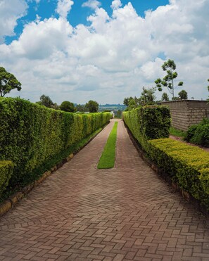 Property grounds - Evedar Home (Limuru)