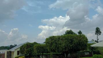 Khuôn viên nơi lưu trú