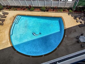 An aerial view of a swimming pool with lounge chairs and a fenced area. - Kona Alii 609 - Ocean View Kona Condo | Walk to Beach & Town | AC (Kailua Kona)