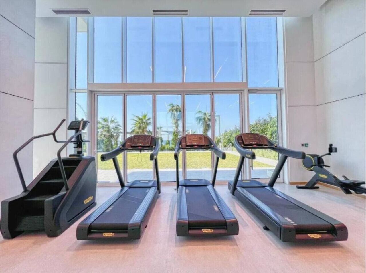 A gym with treadmills and a stair climber, large windows, and a view of palm trees.